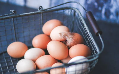 Hajauttaminen pienentää sijoitusten riskiä