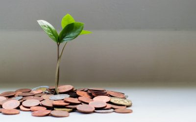 Tästä syystä suosittelen Nordnettia aloittelevalle sijoittajalle